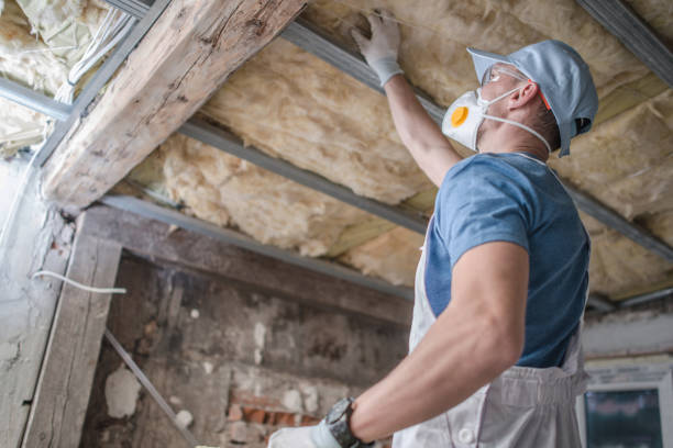 Best Cellulose Insulation in Anchor Point, AK