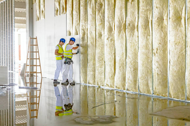 Best Spray Foam Insulation in Anchor Point, AK